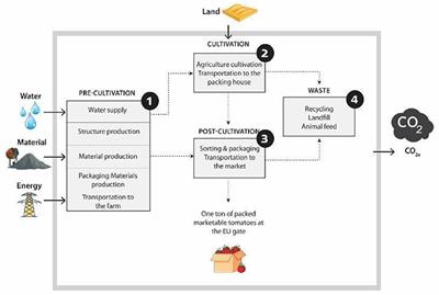 Tomatoes from the desert: Environmental footprints and sustainability potential in a changing world